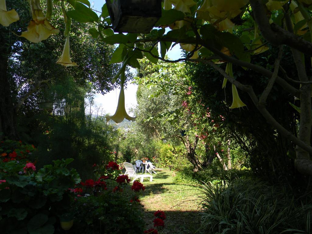 קונטואקלי Villa Efterpi מראה חיצוני תמונה